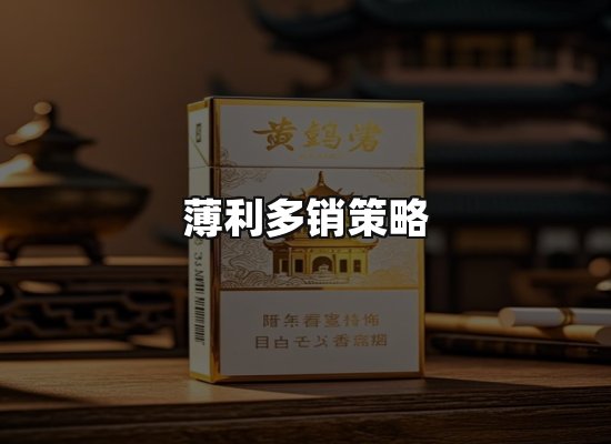 专业优势